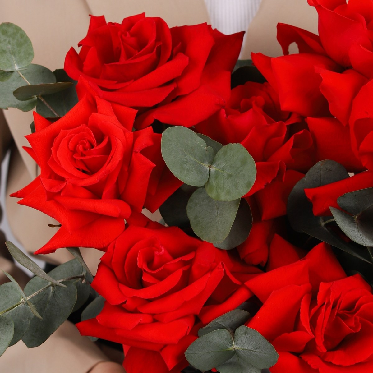 francuzskie rozy s evkaliptom v korobke 7